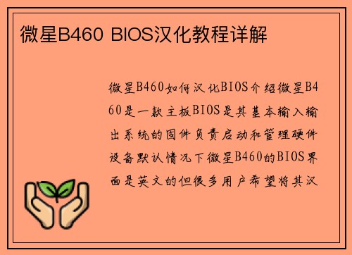 微星B460 BIOS汉化教程详解