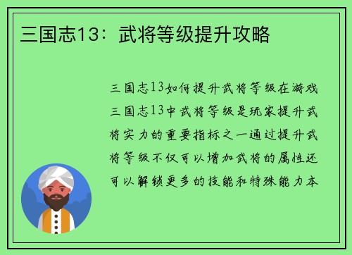 三国志13：武将等级提升攻略