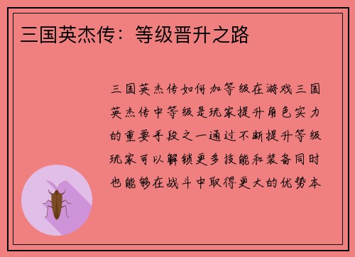 三国英杰传：等级晋升之路